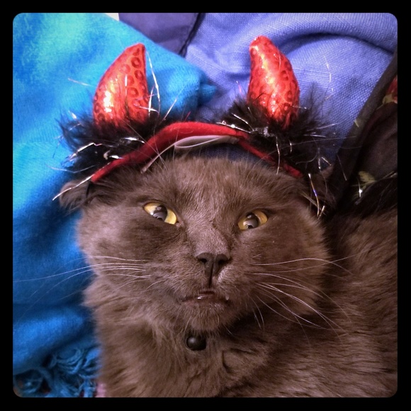 PS+ Other - Cat Devil Horns Costume Kitty Halloween